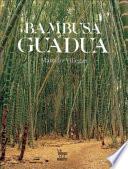 libro Bambusa Guadua