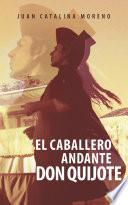 libro El Caballero Andante Don Quijote