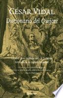libro Diccionario Del Quijote