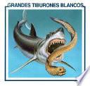 libro Grandes Tiburones Blancos (great White Sharks, Spanish)