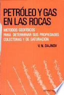libro Petróleo Y Gas En Las Rocas
