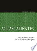 libro Aguascalientes. Historia Breve