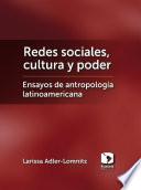 libro Redes Sociales, Cultura Y Poder