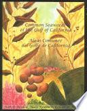 libro Algas Comunes Del Golfo De California