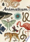 libro Animalium
