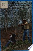 libro Costos Del Cultivo De árboles De Uso Múltiple En América Central