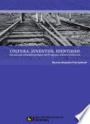 libro Cultura, Juventud, Identidad.