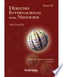 libro Derecho Internacional De Los Negocios