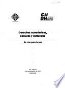 libro Derechos Económicos, Sociales Y Culturales