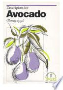 libro Descriptors For Avocado (persea Spp.).