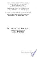 libro El Cultivo Del Plátano (musa Aab Simmonds) En El Trópico