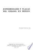 libro Enfermedades Y Plagas Del Girasol En México