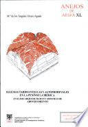 libro Iglesias Tardoantiguas Y Altomedievales En La Península Ibérica