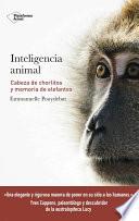 libro Inteligencia Animal