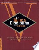 libro La Quinta Disciplina En La Práctica