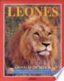 libro Leones