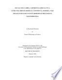 libro Más Allá Del Caribe, La Diferencia Africana En La Literatura Hispanoamericana Continental