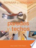 libro Paredes Y Techos