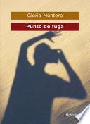 libro Punto De Fuga