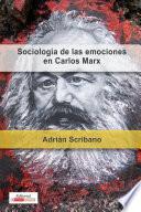 libro Sociología De Las Emociones En Carlos Marx