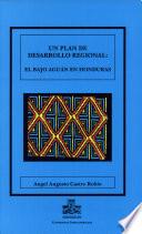 libro Un Plan De Desarrollo Regional