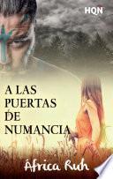 libro A Las Puertas De Numancia