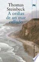 libro A Orillas De Un Mar Callado