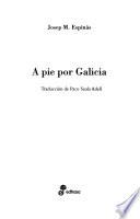 libro A Pie Por Galicia