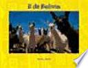 libro B De Bolivia