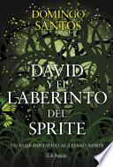 libro David Y El Laberinto Del Sprite