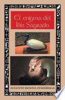 libro El Enigma Del Ibis Sagrado