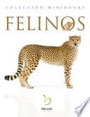 libro Felinos