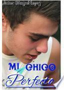 libro Mi Chico Perfecto