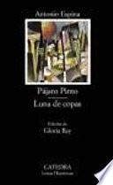 libro Pájaro Pinto