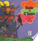 libro Sueño En El Yunque
