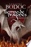 libro Tiempo De Dragones