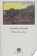 libro Tierra De Olivos