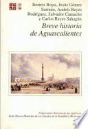 libro Breve Historia De Aguascalientes