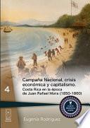 libro Campaña Nacional, Crisis Económica Y Capitalismo