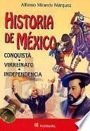 libro Historia De Mexico. Conquista, Virreinato, Independencia.: History Of Mexico. Conquest, Independence.