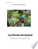 libro Las Plumas Del Quetzal