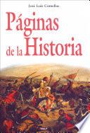 libro Páginas De La Historia