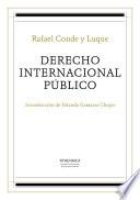 libro Derecho Internacional Público