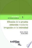 libro Eficacia De La Prueba Obtenida Mediante Irrupción En La Intimidad