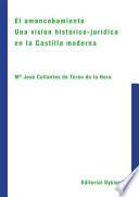 libro El Amancebamiento. Una Visión Histórico Jurídica En La Castilla Moderna