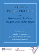 libro Estudios De Derecho Civil En Homenaje Al Profesor Joaquín José Rams Albesa