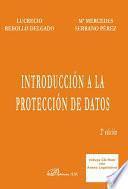 libro Introducción A La Protección De Datos
