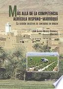 libro MÁs AllÁ De La Competencia AgrÍcola Hispano MarroquÍ