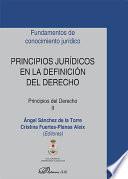 libro Principios Jurídicos En La Definición Del Derecho. Principios Del Derecho Ii
