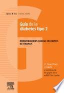 libro Guia De La Diabetes Tipo 2